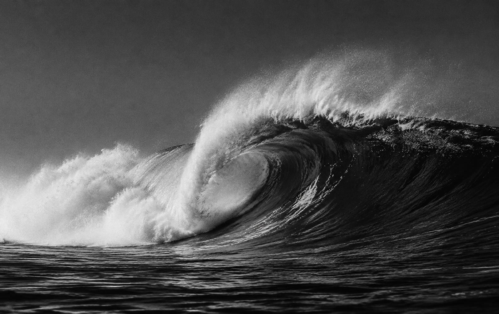 A black-and-white ocean wave mid-break